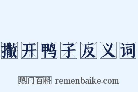 撒开鸭子反义词是什么意思的图片